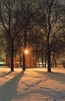 Александровский парк. Зимним вечером, накануне наводнения.
